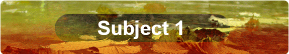 Subject 1
