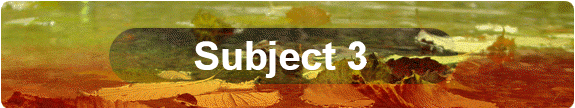 Subject 3